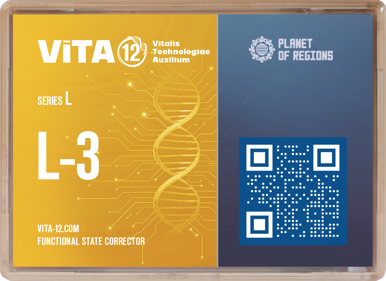 L-3 LYMPHATISCHES SYSTEM