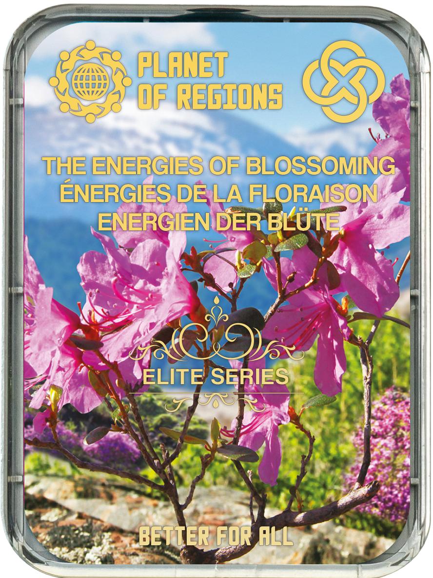 FC ENERGIEN DER BLÜTE